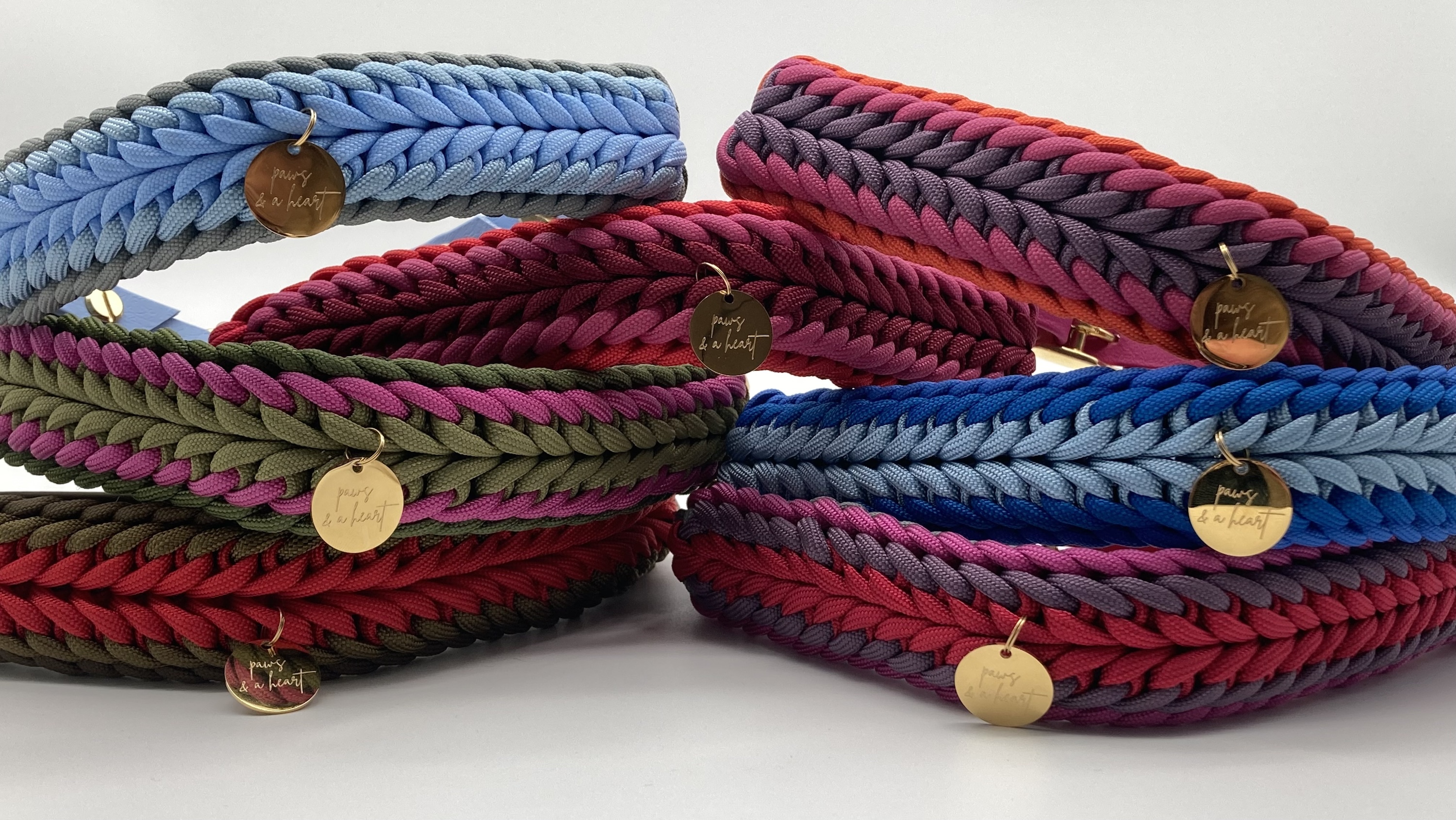 paws & a heart | Kartenvorteil | Mr. München | Foto: paws & a heart paws & a heart | Kartenvorteil | Mr. München | Foto: paws & a heart